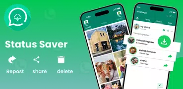 Save Photo & Video Status