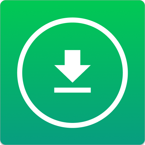 Save Photo & Video Status