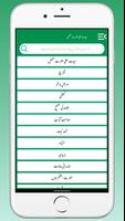 Hayat e Ala Hazrat Ahmad Raza Ekran Görüntüsü 2