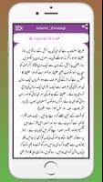 Islami Zindagi اسلامی زندگی Ekran Görüntüsü 3