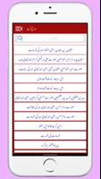 Sawaneh e Karbala  Urdu Hindi ảnh chụp màn hình 2