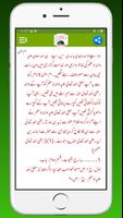 Seerate Mustafa Urdu Hindi Eng Ekran Görüntüsü 2