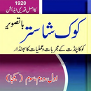 Maha kok shastra  book urdu APK
