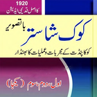 Maha kok shastra  book urdu simgesi