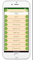 Anwar-ul-Bayan انوار البیان ảnh chụp màn hình 2