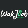 WakJoob Driver
