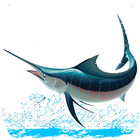 KingsFish иконка