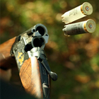 ikon Clay Skeet