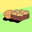 WALNUT VPN