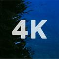 Walby - 4K & HD Wallpapers