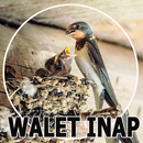 Suara Pemanggil Walet & Inap APK