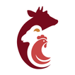 waleem icon