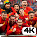 Wales Team Wallpapers 4K aplikacja