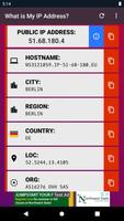 What is My IP Address? Plakat