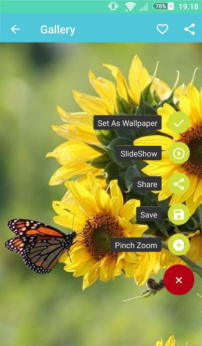 Aesthetic Sunflower Wallpaper For Android Apk Download - aesthetic sunflower roblox logo