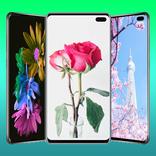 Flower wallpaper latest HD,4K