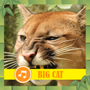 Big Cat Sounds Ringtones Offline APK