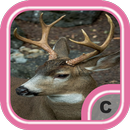 Amazing Deer Wallpapers HD APK