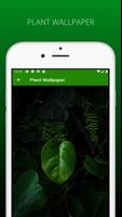Awesome Plant Wallpapers HD الملصق
