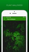 Awesome Plant Wallpapers HD تصوير الشاشة 1