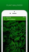 Awesome Plant Wallpapers HD تصوير الشاشة 2