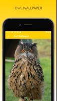 Awesome Owl Wallpapers HD تصوير الشاشة 1