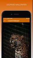 Awesome Leopard Wallpapers HD تصوير الشاشة 1