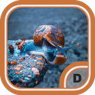 Amazing Snail Wallpapers HD أيقونة