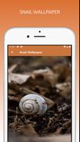 Amazing Snail Wallpapers HD الملصق