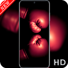 Boxing Wallpaper 2021 icon