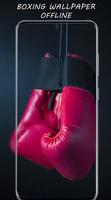 Boxing Wallpaper 2021 截圖 2