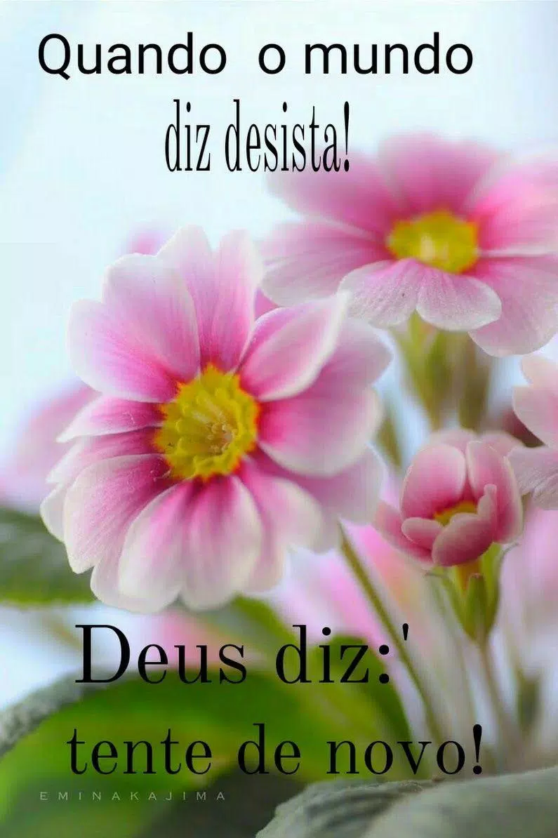 Tải xuống APK Bom Dia - citações e fotos cho Android Tải xuống APK Bom Dia - citações e fotos cho Android