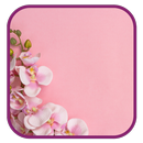 Pink Wallpapers 2023 aplikacja