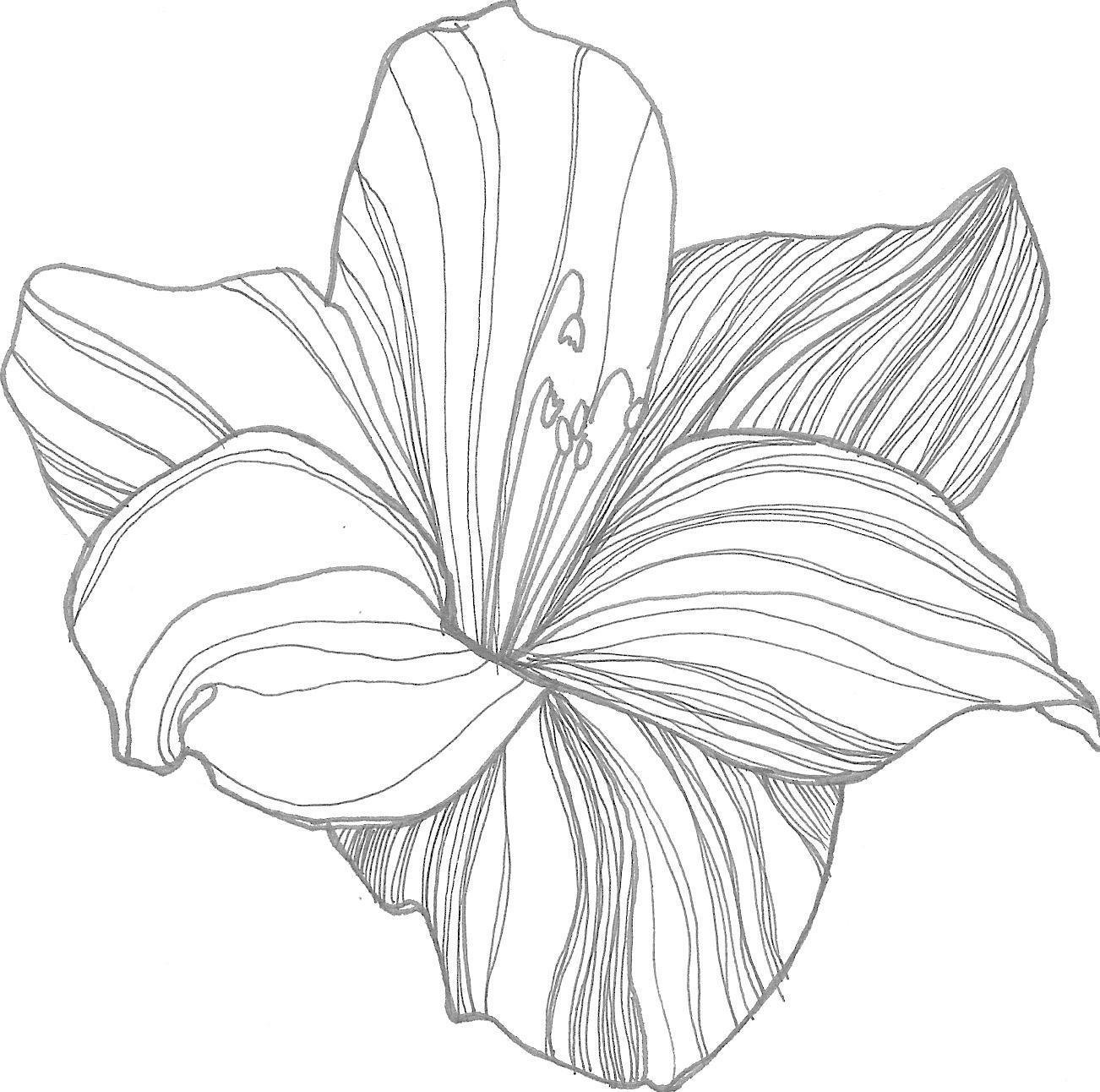 Описание для Easy How To Draw Flowers.