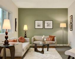 250 Idea Paint Colors Wall скриншот 3