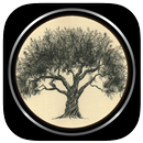 Learn Drawing Trees APK