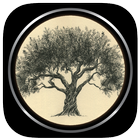 Learn Drawing Trees icon