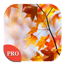 Autumn Wallpapers PRO APK