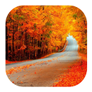 Autumn Wallpapers APK