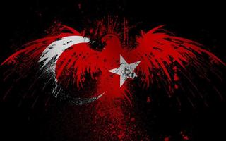 Turkish Flag Wallpapers screenshot 3