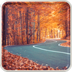 Autumn Wallpaper HD