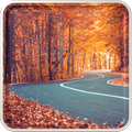 Autumn Wallpaper HD