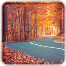 Autumn Wallpaper HD aplikacja