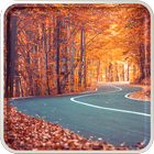 Autumn Wallpaper HD أيقونة