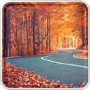 Autumn Wallpaper HD APK