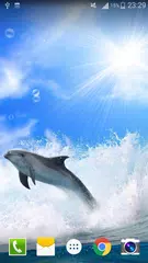 Dolphin Live Wallpaper PRO HD APK Herunterladen