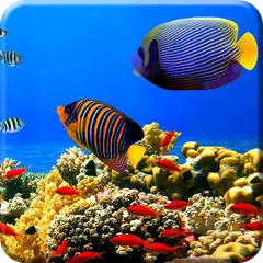 download Aquarium Undersea wallpaper APK