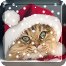 聖誕節貓動態桌布 APK