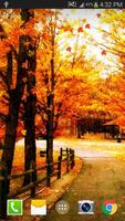Maple Live Wallpaper ảnh chụp màn hình 2