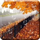 楓葉雨滴動態桌布 APK